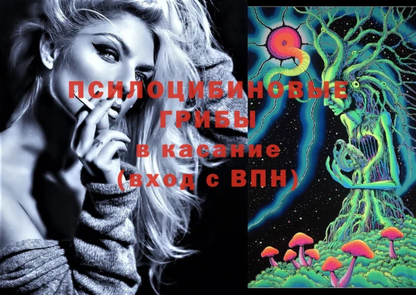 дмт Корсаков