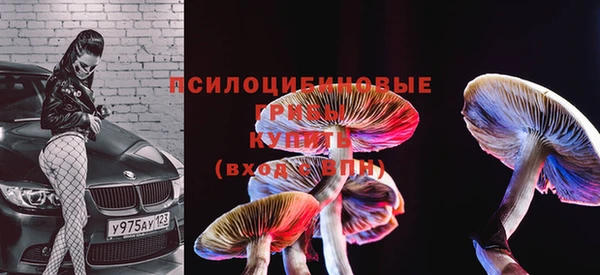 дмт Корсаков