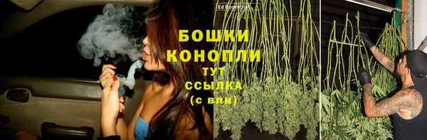 дмт Корсаков