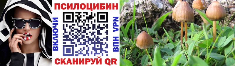 Псилоцибиновые грибы MAGIC MUSHROOMS  Купить закладки  Островной 