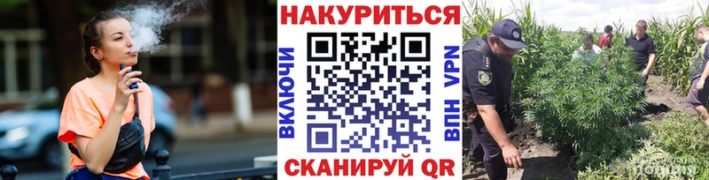 Бошки Шишки ГИДРОПОН  Купить где  Островной 